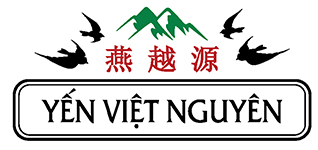 Yến Sào Khánh Hòa - Yến Việt Nguyên